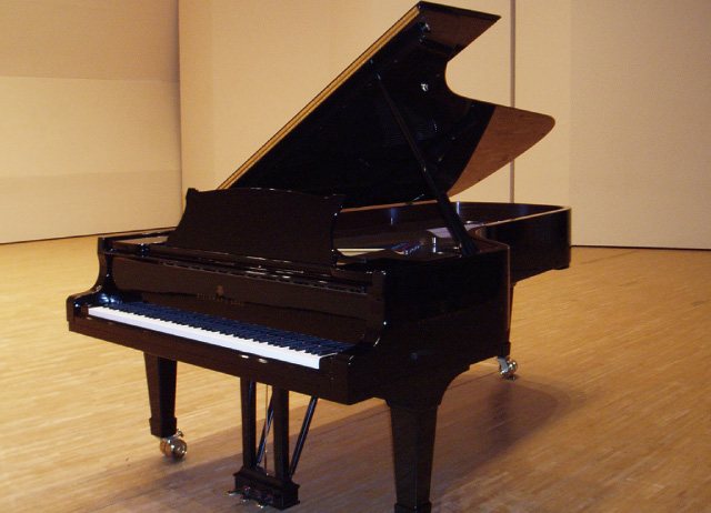第34回 スタインウェイを弾く会